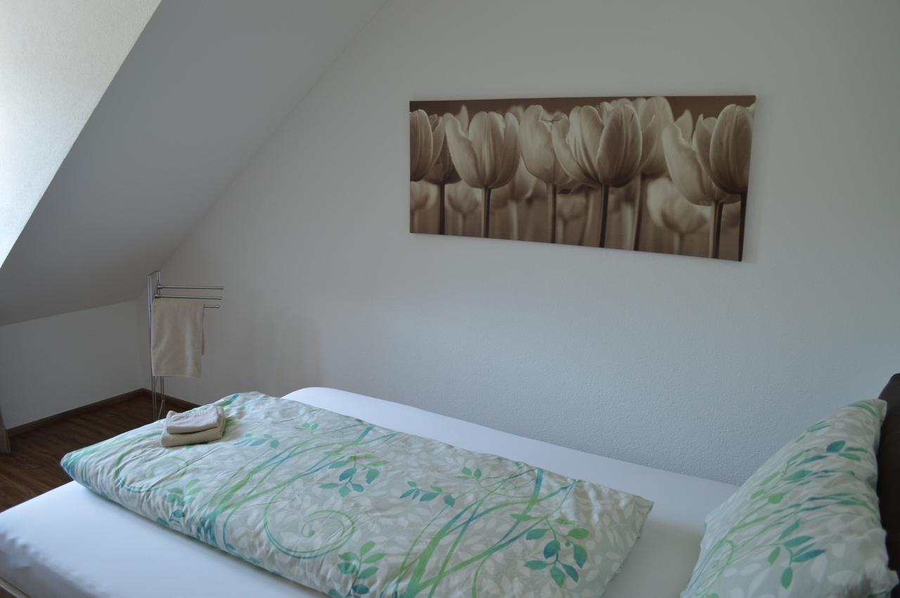 Bnb Zum Schluessel Unterehrendingen Екстериор снимка